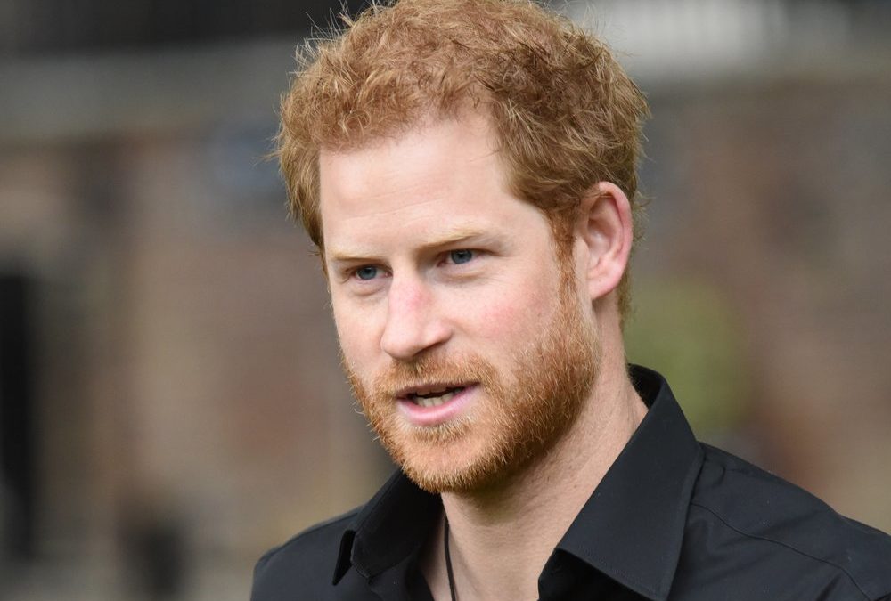 Naturschutz in Afrika: Prinz Harry hat neue Aufgabe bei Herzensprojekt