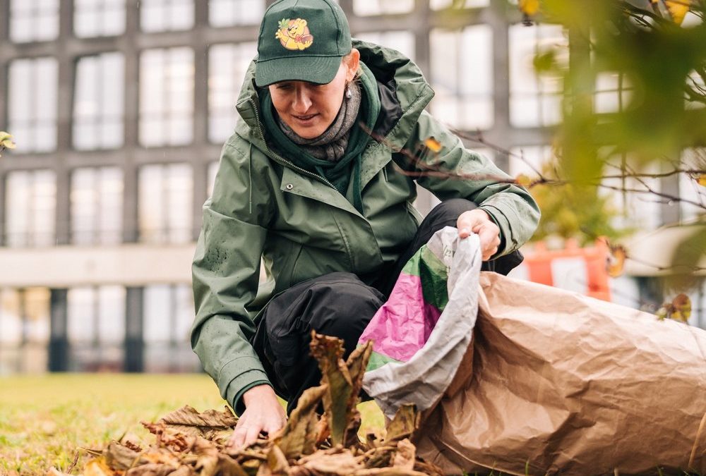 So kann jeder befallenen Kastanienbäumen helfen