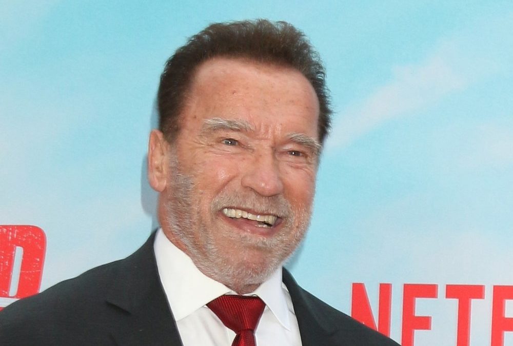Wiener Wachs-Arnie auf dem Drahtesel enthüllt