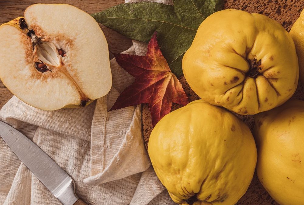 Quitten: Alles Wissenswerte rund um das Saisonobst