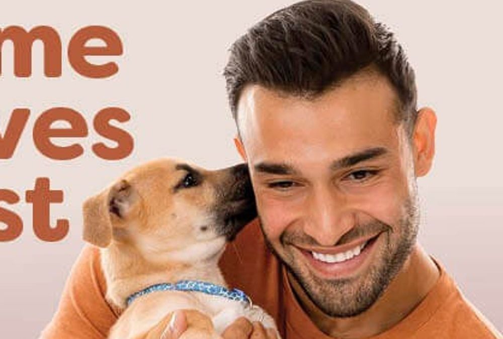 Sam Asghari: Macht er sich über seine Ehe mit Britney Spears lustig?