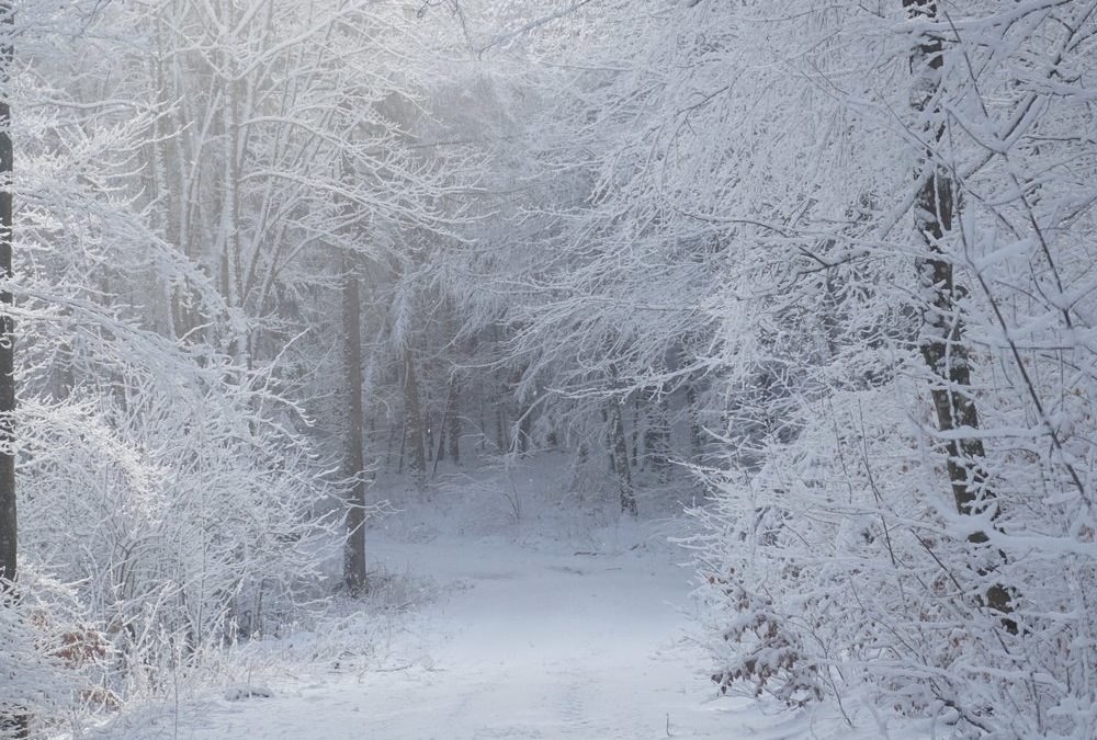Schneezauber: Was gehört beim Winterwandern in den Rucksack?