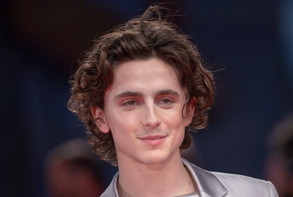 Es geht weiter: „Dune 2“-Schauspieler Timothée Chalamet im Faktencheck