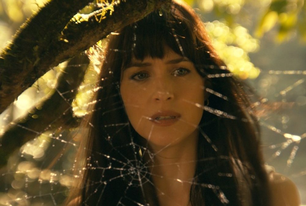 Franchise-Traum geplatzt? „Madame Web“ floppt an den Kinokassen