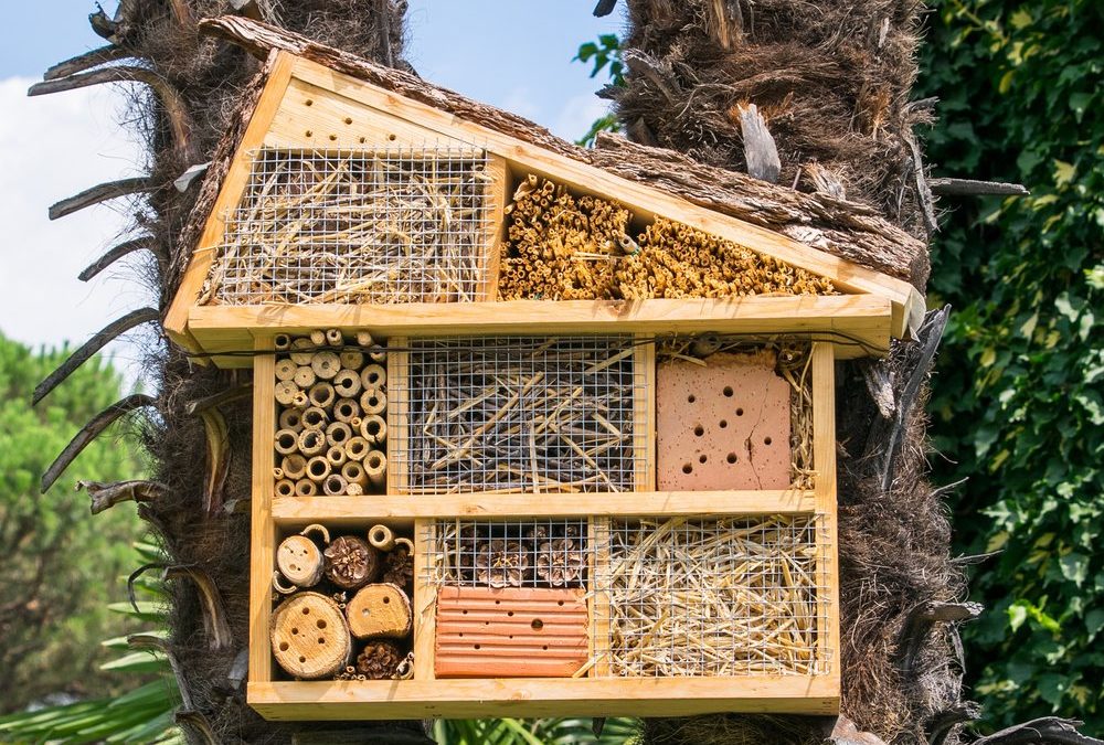 Artenschutz im eigenen Garten: Was ein gutes Insektenhotel ausmacht
