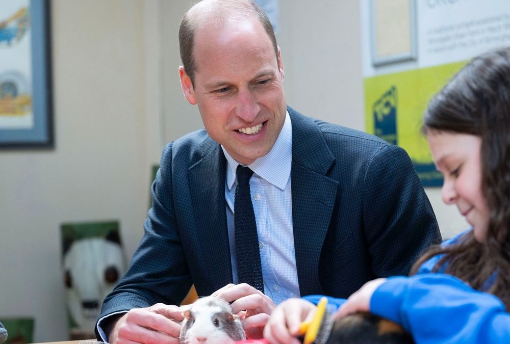 Prinz William: Das erledigt der Royal im Haushalt