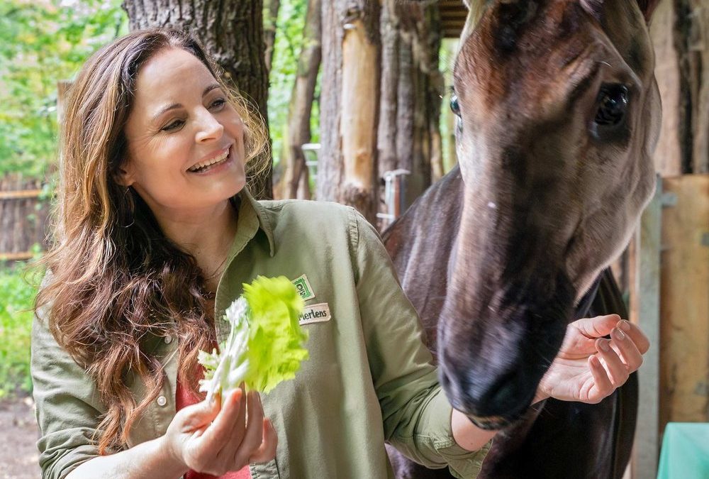 „Tierärztin Dr. Mertens“: Drehstart und neuer Tierarzt in Staffel neun