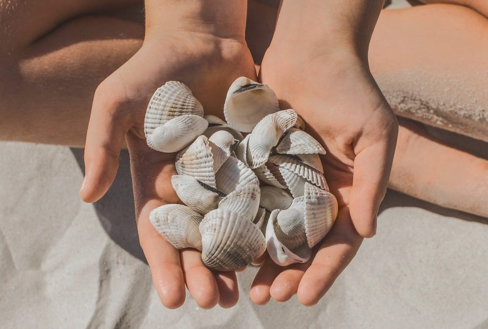 Verbotenes Urlaubssouvenir: Hier ist Muscheln sammeln nicht erlaubt