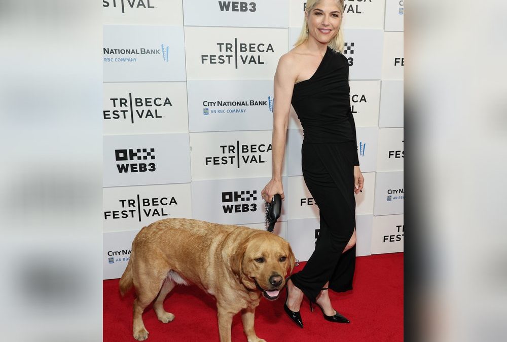 Selma Blair posiert mit ihrem Assistenzhund auf dem roten Teppich