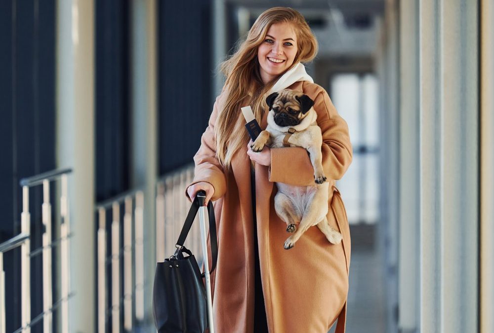 Neue US-Einreisebestimmungen: Müssen Hunde draußen bleiben?