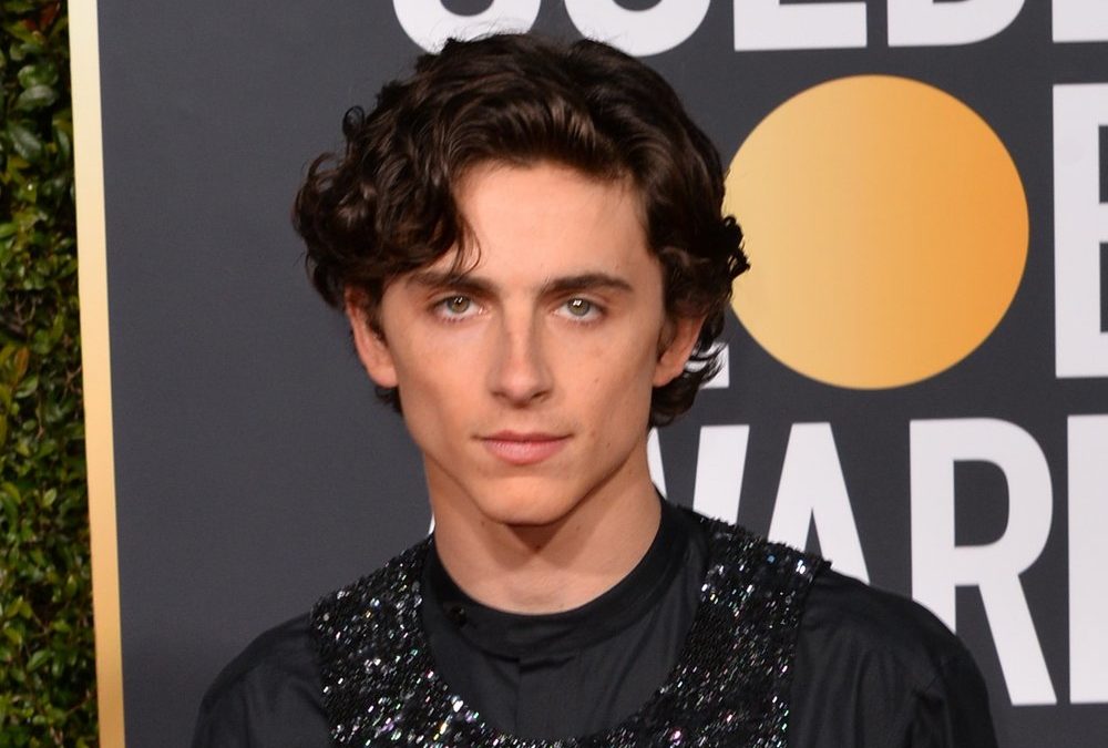 Timothée Chalamet überrascht Fans bei eigenem Lookalike-Wettbewerb