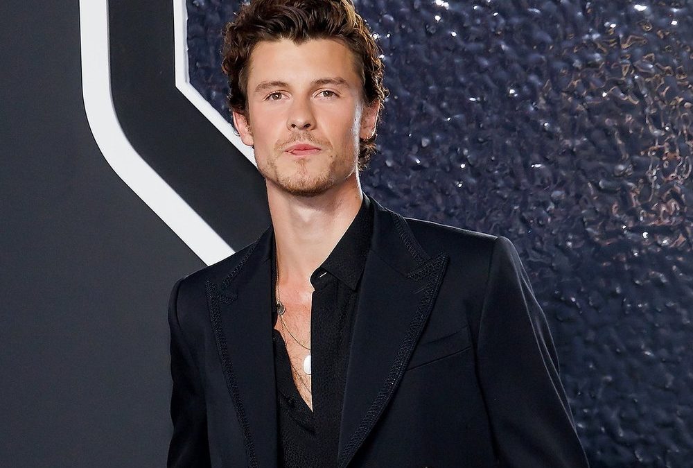 Shawn Mendes verschiebt Album-Veröffentlichung