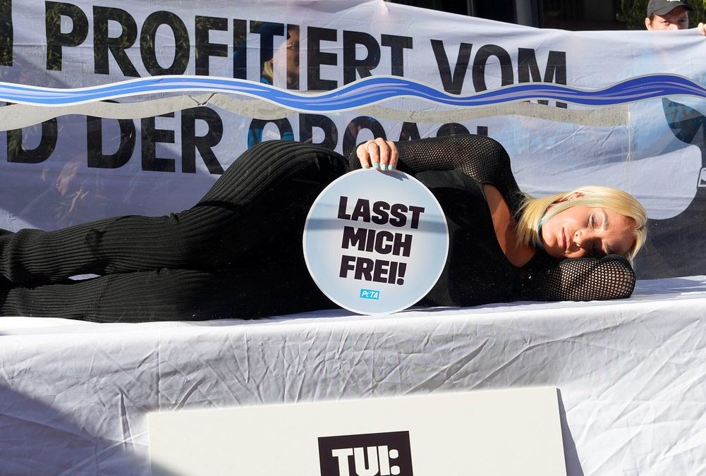Sarah Connor: Aufsehenerregender Protest für Orca-Wale