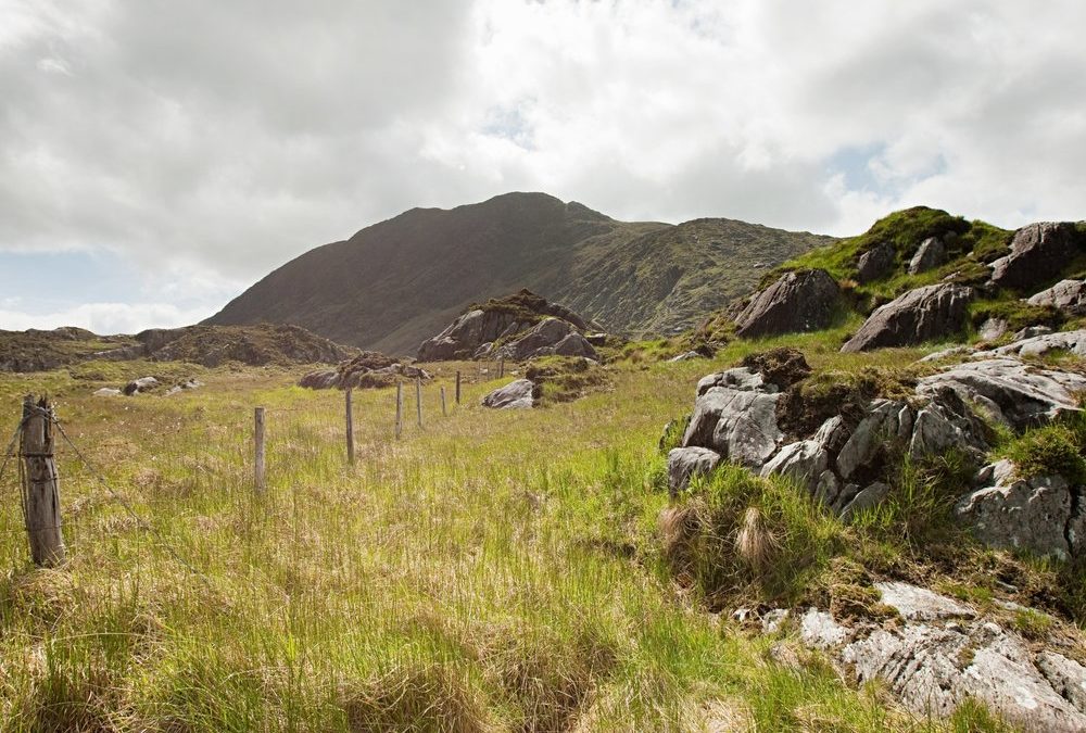 Halloween in Irland: Die Insel, auf der alles begonnen hat