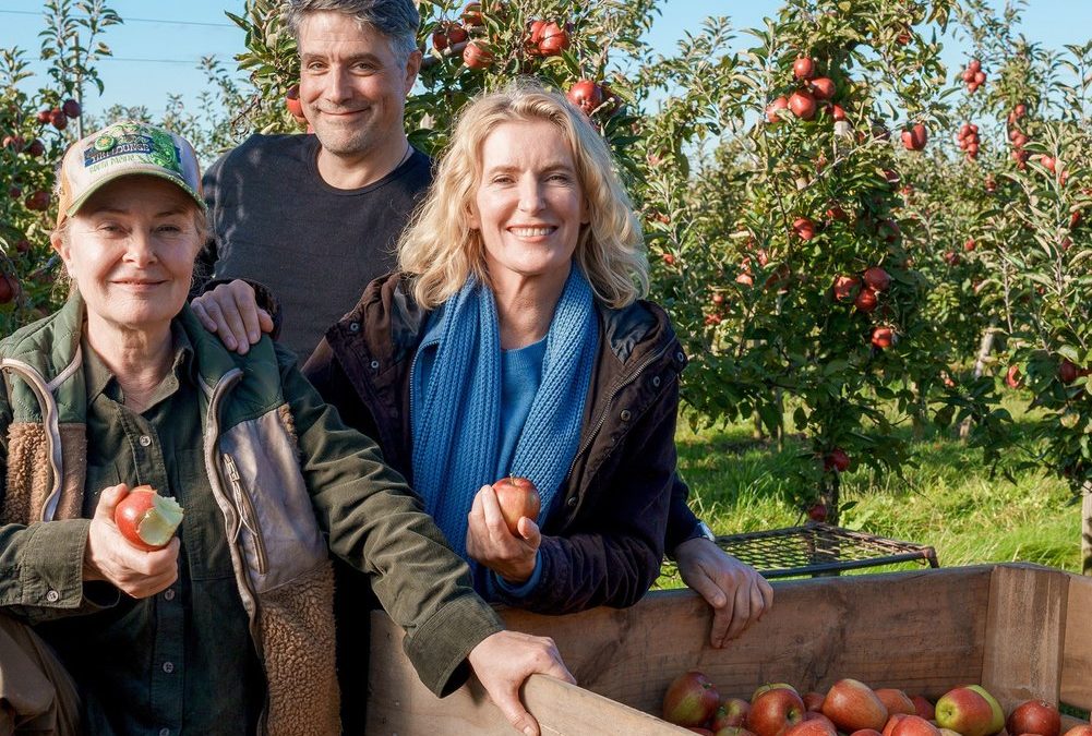 Neuer „Tatort“ aus Hannover: Charlotte Lindholm ist wieder im Dienst