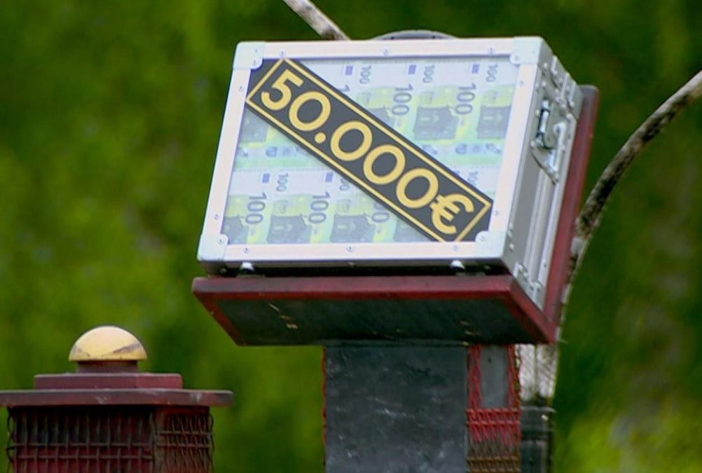 „Das Sommerhaus der Stars“: Dieses Paar geht als Sieger hervor