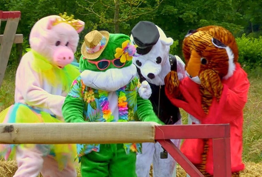 „Das Sommerhaus der Stars“: Tierische Eskalation im Finale
