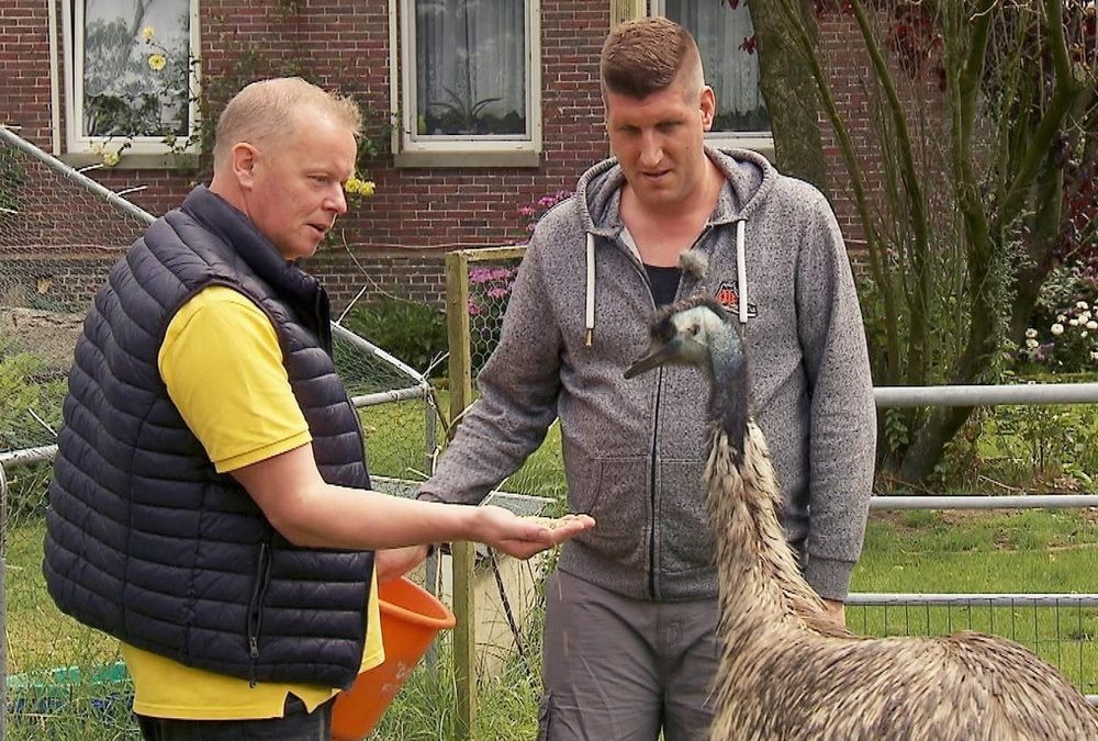 „Bauer sucht Frau“: Kandidatin zeigt bei neuem Bauer Herz für Trecker