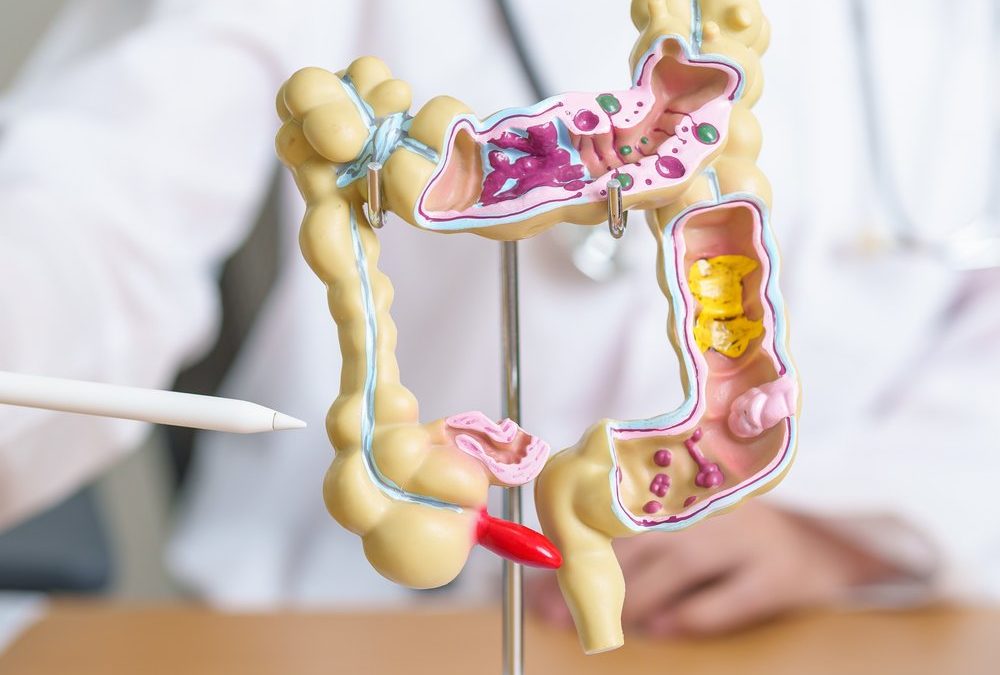 Krebsvorsorge: Diese regelmäßigen Check-ups sind wichtig