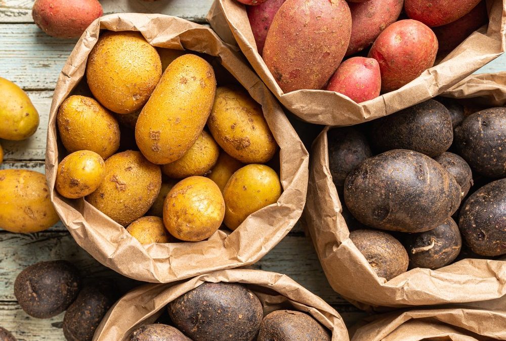 Festkochend bis mehlig: Welche Kartoffelsorte eignet sich wofür?
