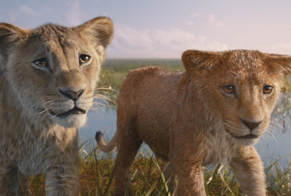 Disney-Film „Mufasa“: Alles zur Vorgeschichte von „König der Löwen“