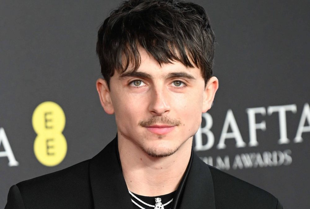 Timothée Chalamet auf Oscar-Kurs: Knackt er Adrien Brodys Rekord?