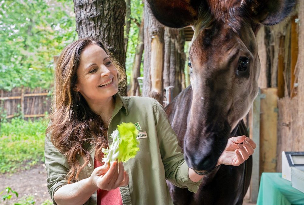 „Tierärztin Dr. Mertens“: Neue Staffel startet – mit Jubiläum