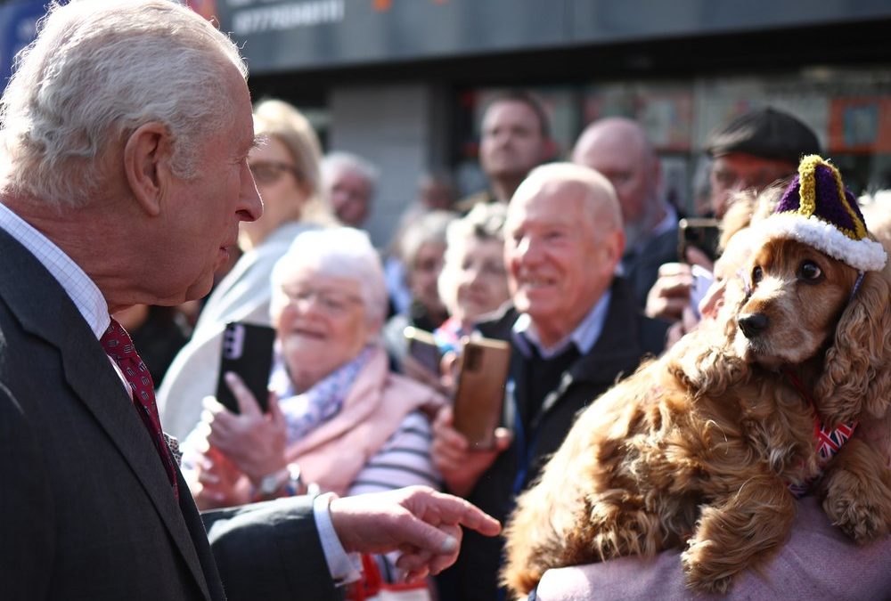 Limavady: König Charles wird von gekröntem Hund begrüßt