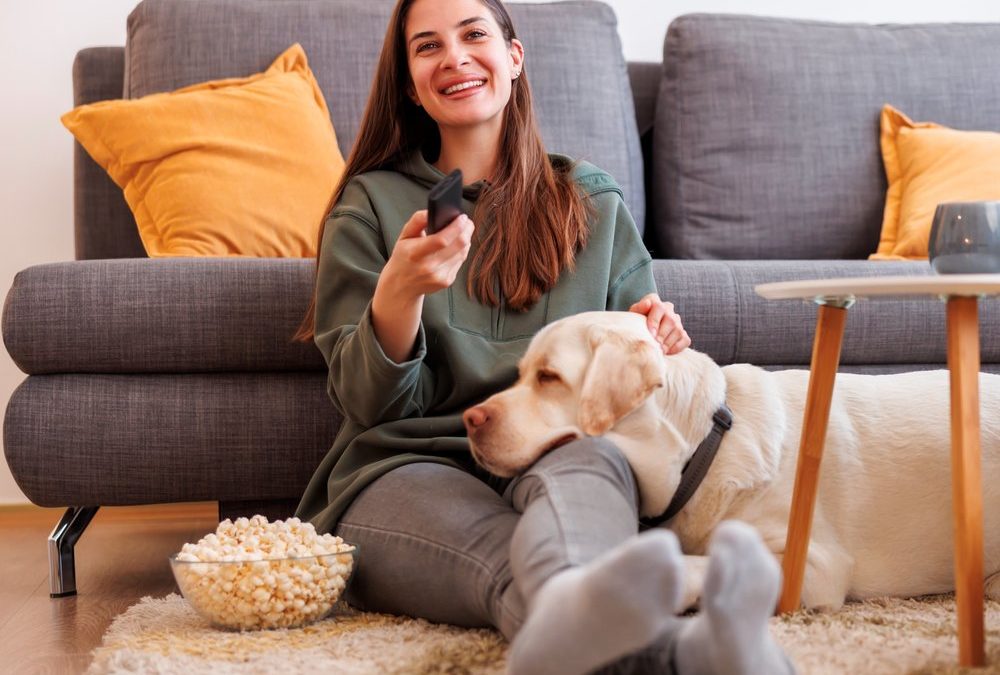 Überarbeitete Mediathek: ZDF präsentiert neues Streaming-Portal