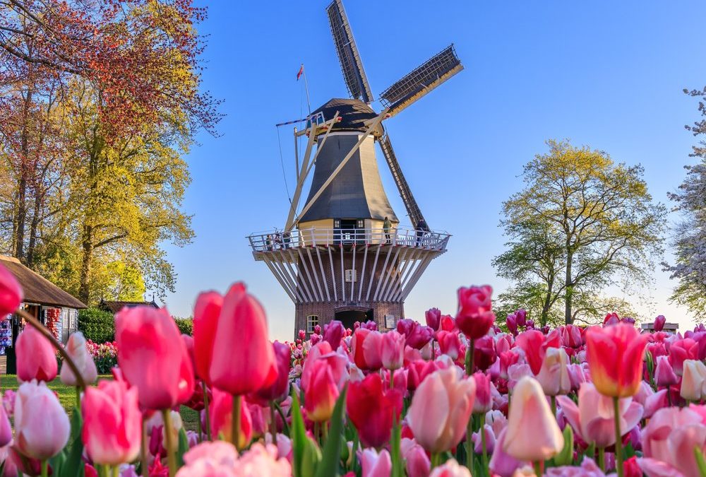 Der Frühling steht vor der Tür: Die schönsten Gärten der Welt