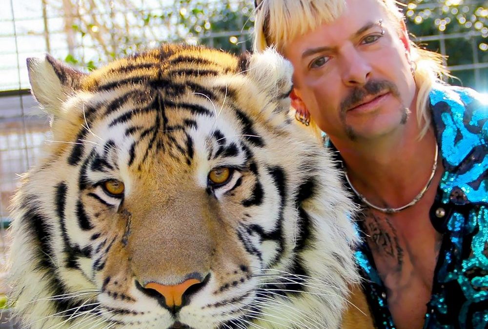 Joe Exotic: Der „Tiger King“ heiratet einen Mithäftling