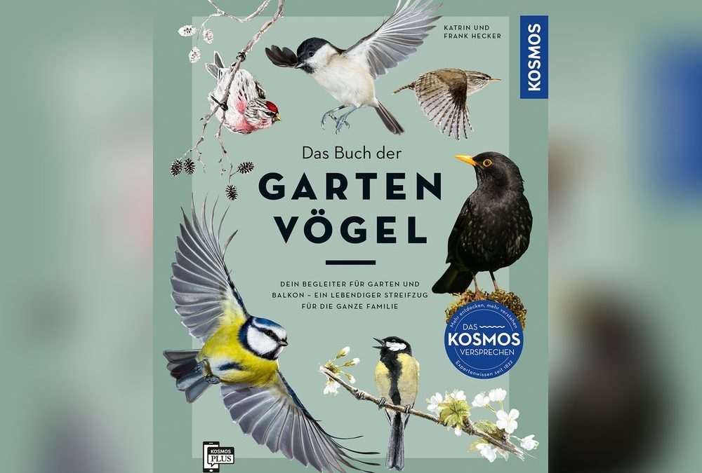 Wie wir heimische Vogelarten im eigenen Garten schützen können