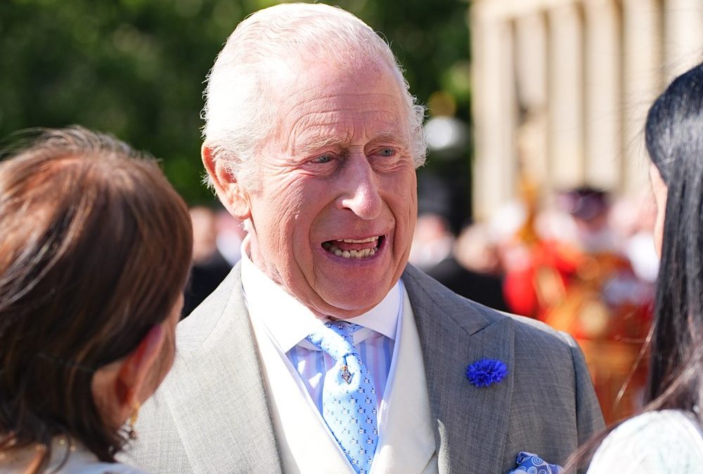 Ausgefallene Krawatte: König Charles amüsiert sich bei Gartenparty