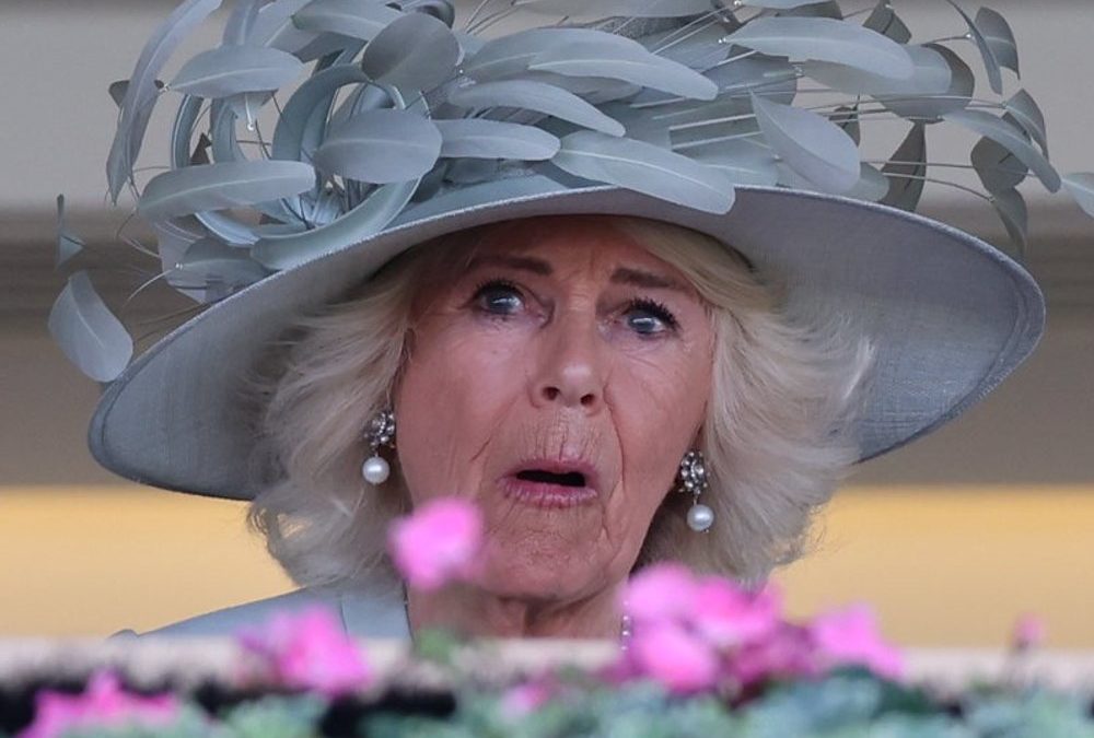 Royal Ascot eröffnet: Auch Königin Camilla fiebert mit