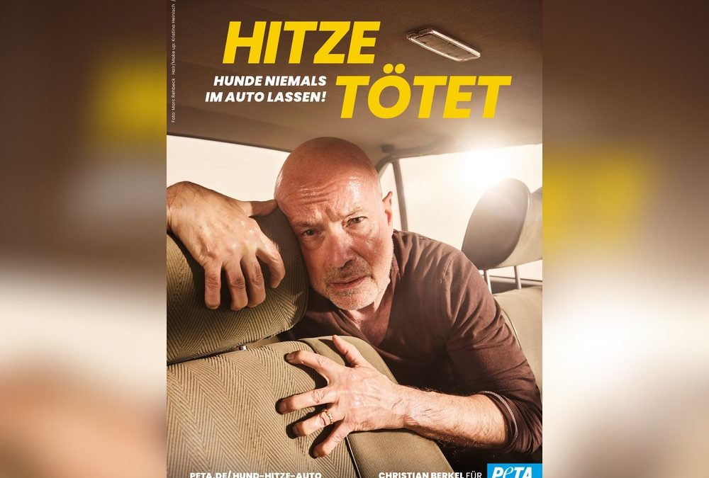 Ein Herz für Hunde: Christian Berkel schwitzt für den Tierschutz