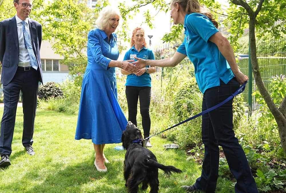 Königin Camilla im „Hundegarten“: Darum durfte Hündin Moley nicht mit