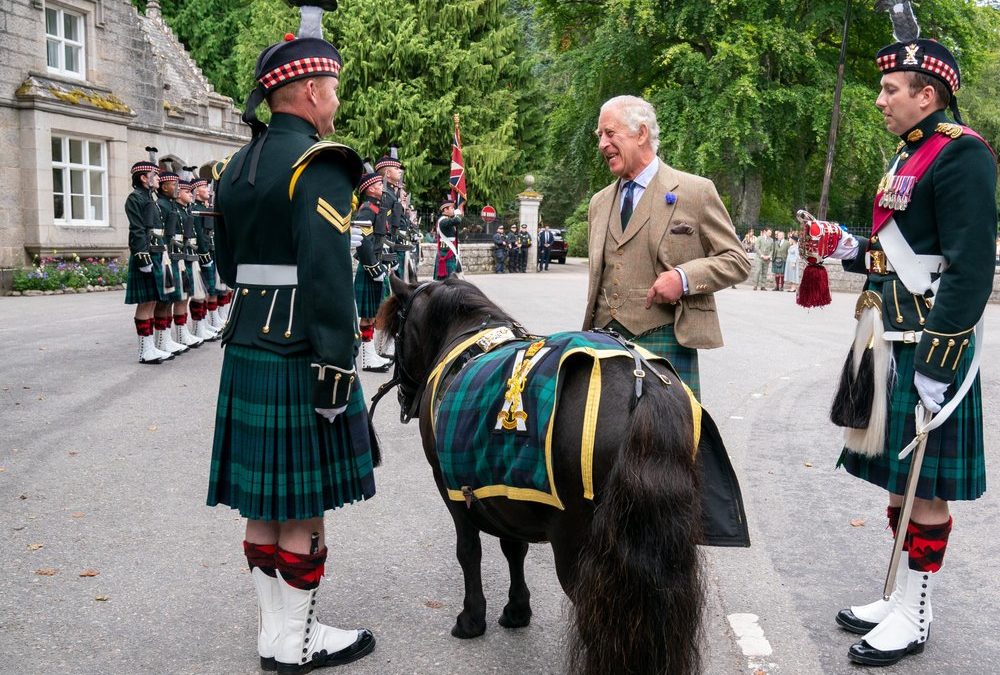 Start in den Sommerurlaub: Tierischer Empfang für König Charles