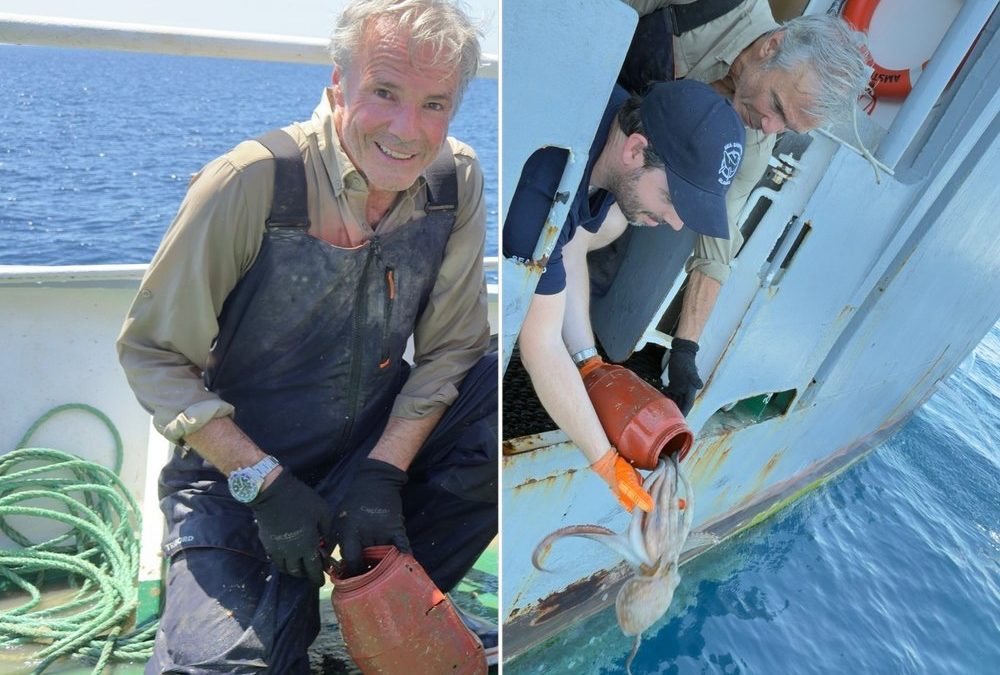 Hannes Jaenicke: Darum ist er jetzt großer Fan von Oktopussen