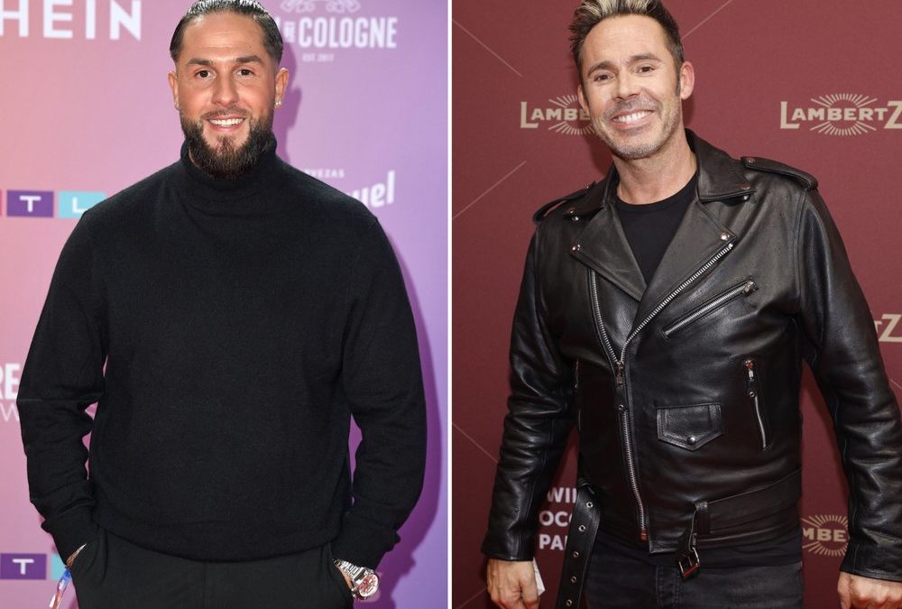 Karriere nach dem „Sommerhaus“: Manche legten los, andere tauchten ab