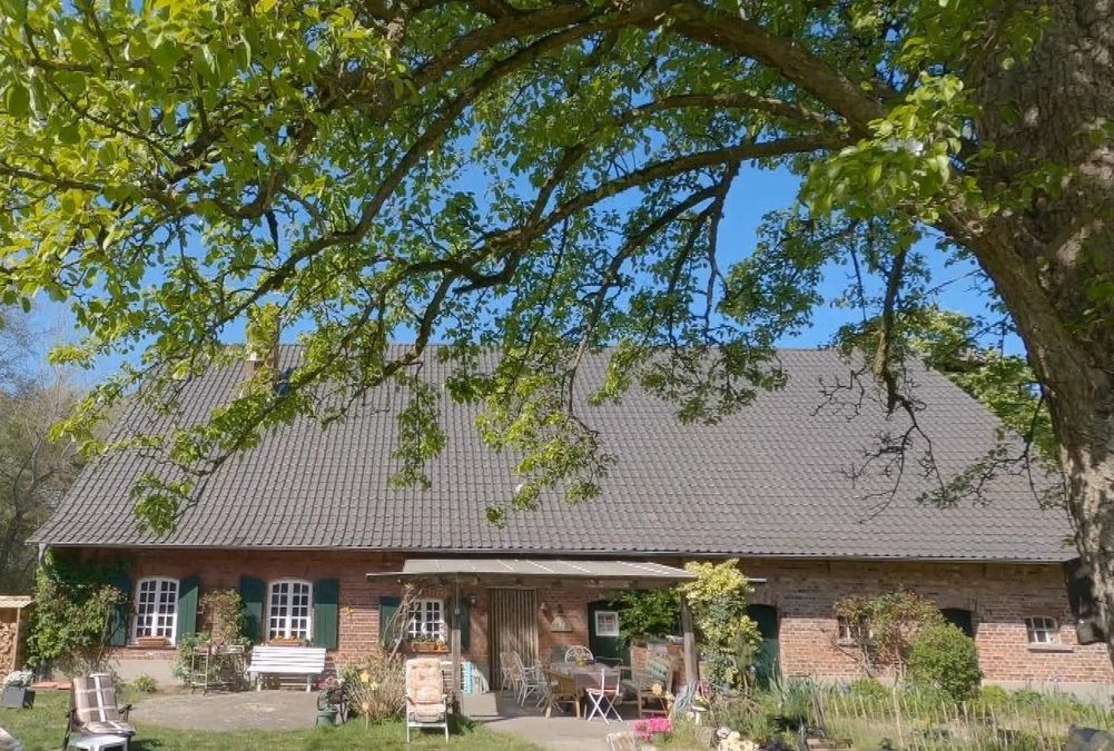 „Das Sommerhaus der Stars“-Jubiläum: Zehn Staffeln Drama und Intrigen