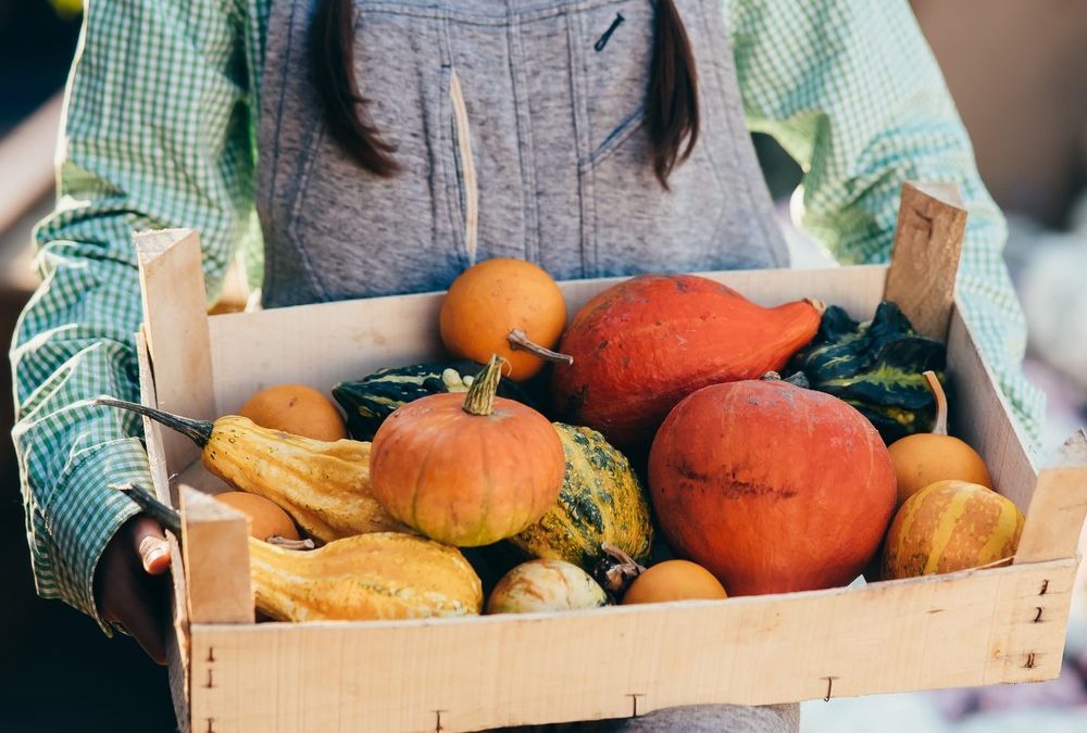 Vielseitige Herbstküche: Das macht Kürbis so gesund
