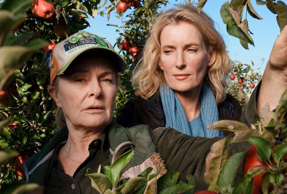 „Tatort: Letzte Ernte“: Zerplatzte Träume auf dem Apfelhof