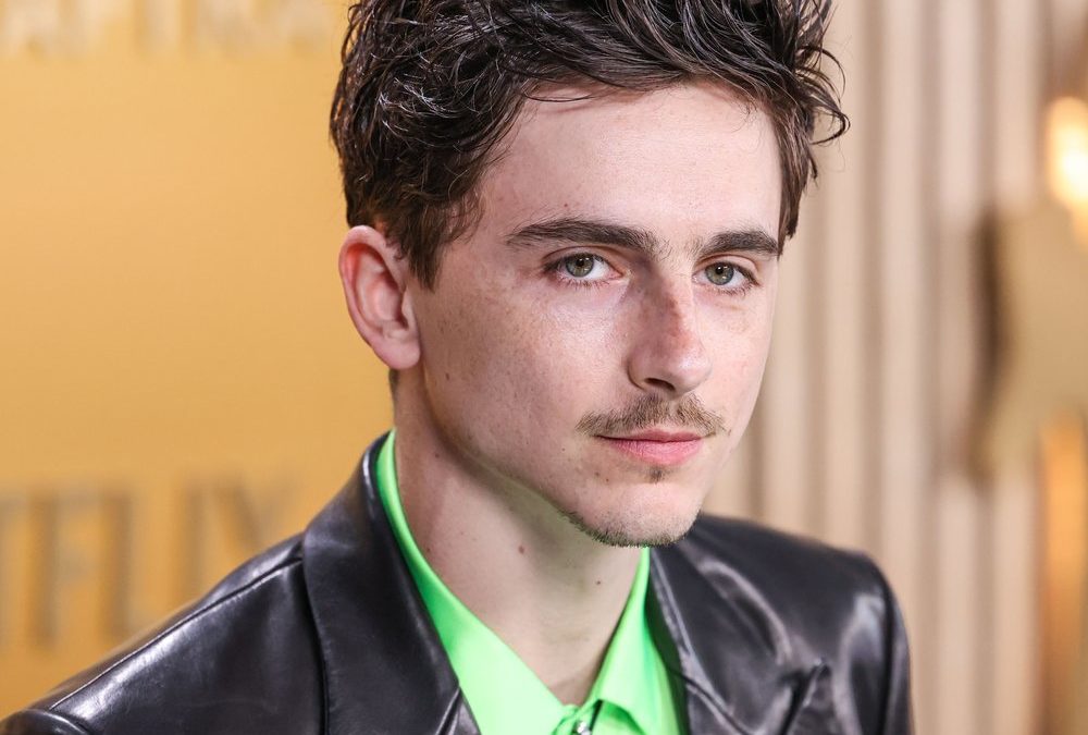 Timothée Chalamet löst Rätsel um angebliches Rap-Alter-Ego