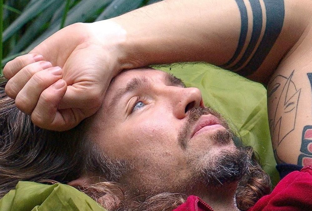 Dschungelcamp: Die Promis sprechen über ihre düstersten Kapitel