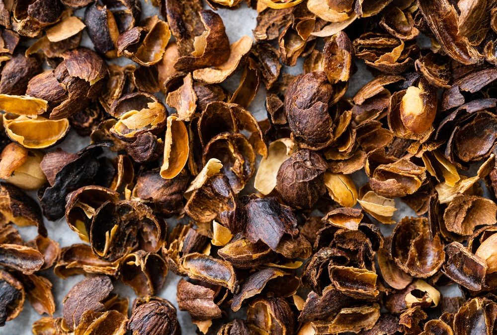 Cascara: Das steckt hinter dem Trendgetränk aus Kaffeekirschen