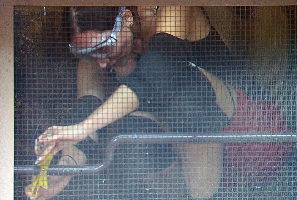 Dschungelprinzessin Samira Yavuz ist stolz auf ihren zweiten Platz