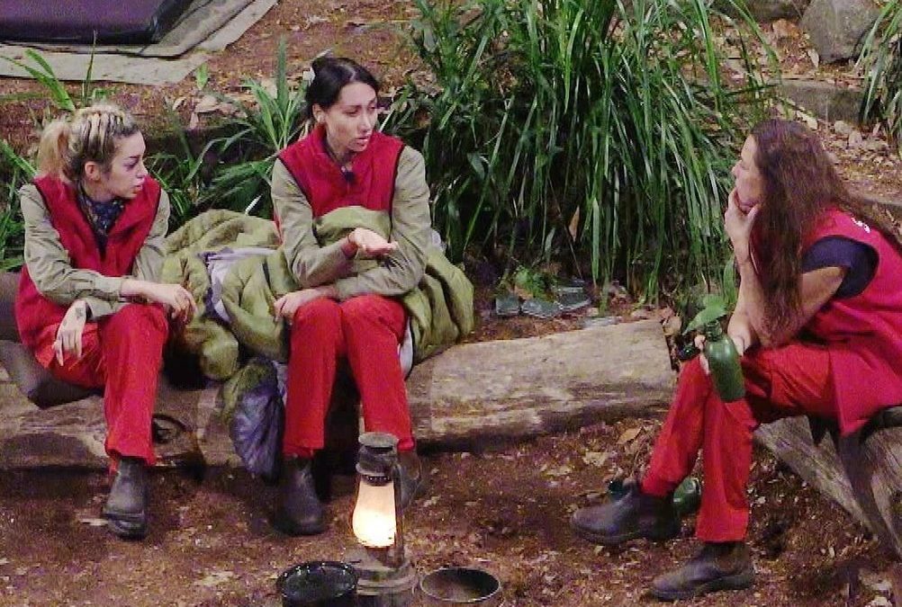 Dschungelcamp: Die Schuld der Zuschauer und die faule Jugend