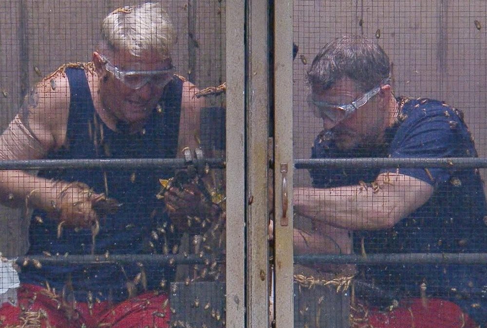 Zu faul im Dschungelcamp? Das empfiehlt Dr. Bob Hubert und Hardy