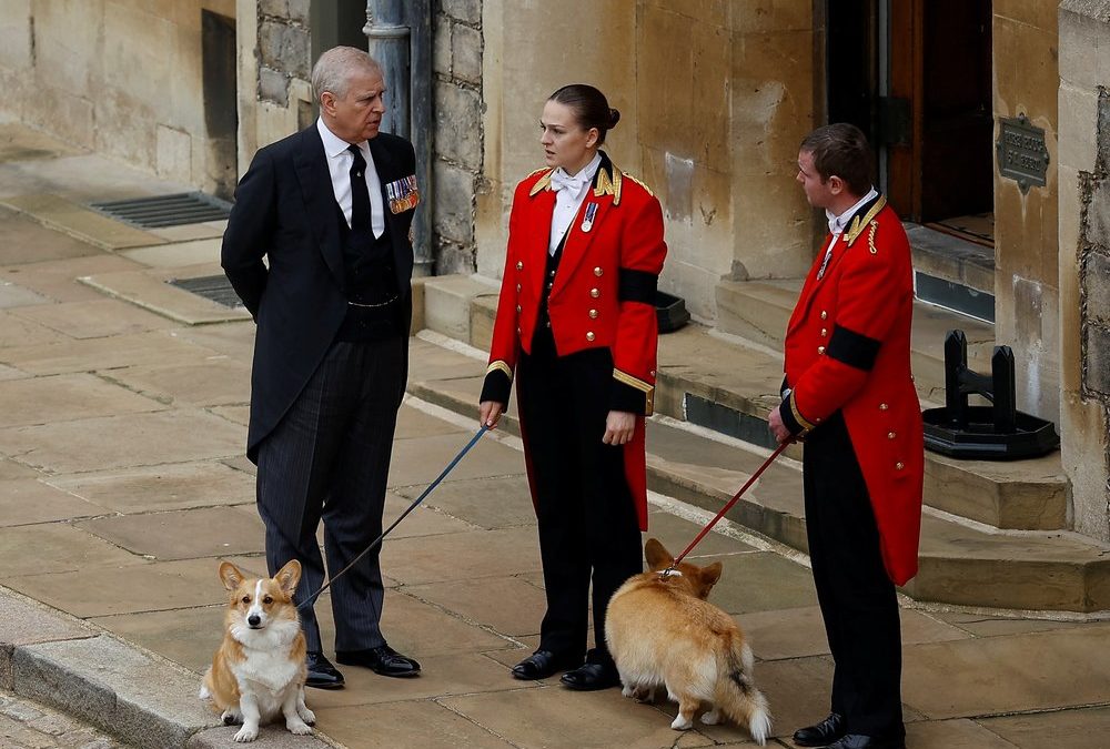 Nach Andrew und Fergies Auszug: Wo leben die Corgis der Queen jetzt?