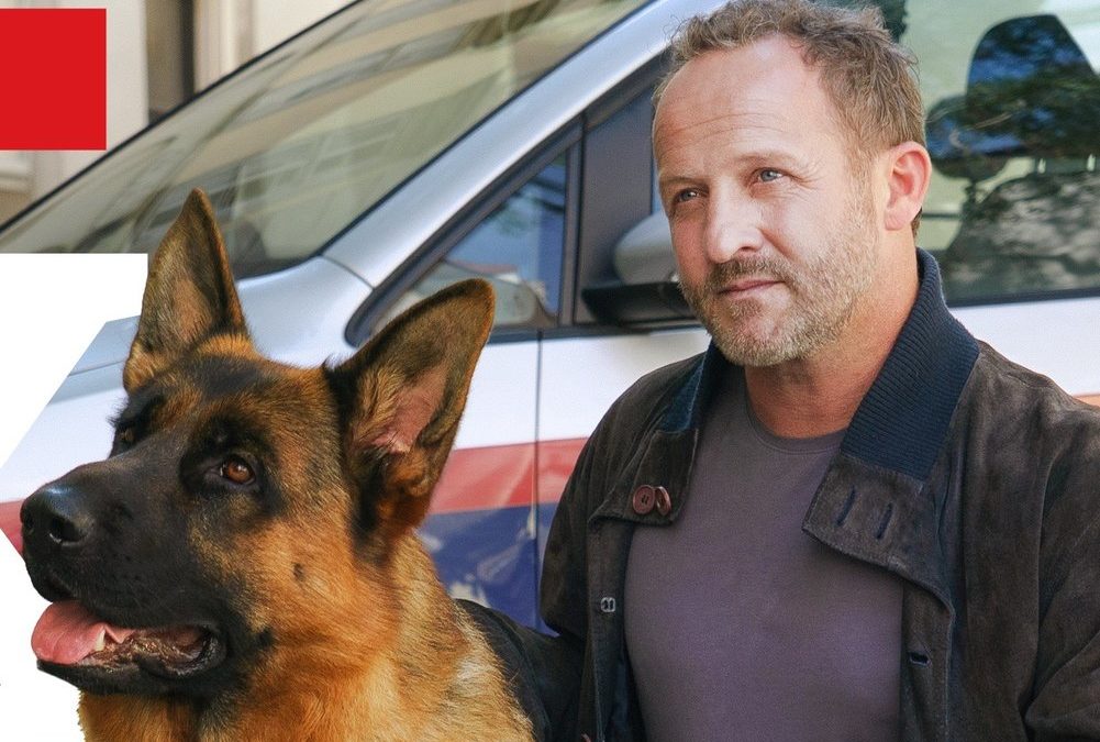 „Kommissar Rex“: Starttermin für Neuauflage steht fest